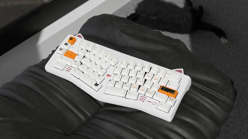 Calico on the Nyawice